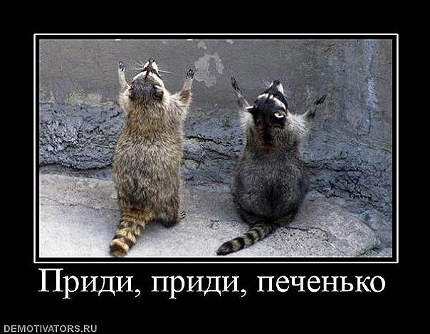 http://cs9275.vkontakte.ru/u43241962/94402943/x_73d8cbf6.jpg